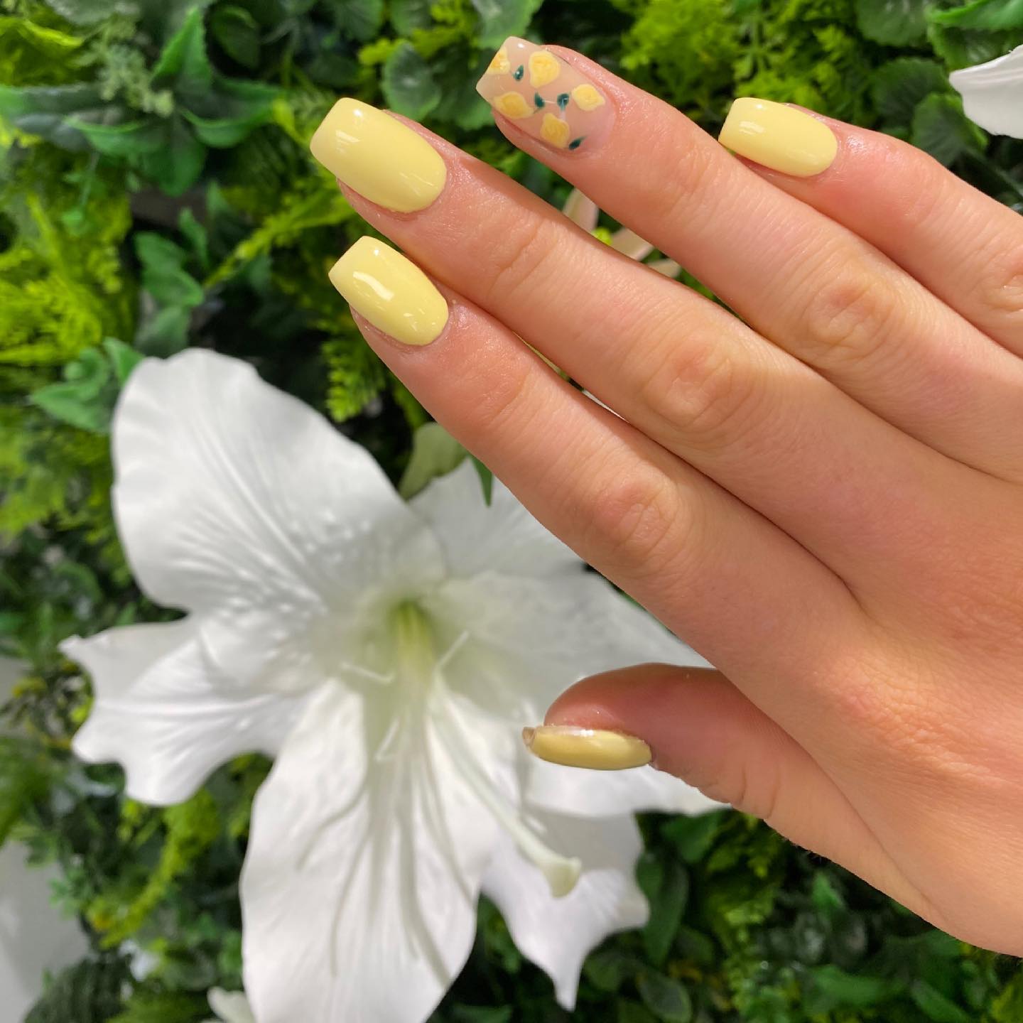 Portfolio fifth photo